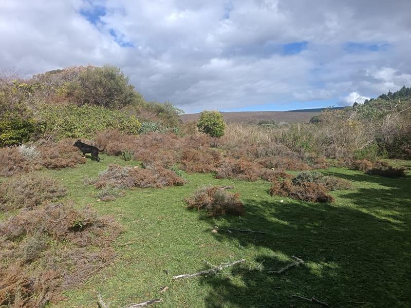 0 Bedroom Property for Sale in Napier Western Cape